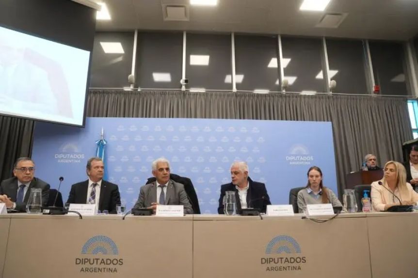 la comisión de minería de la cámara baja analiza la modificación del código minero