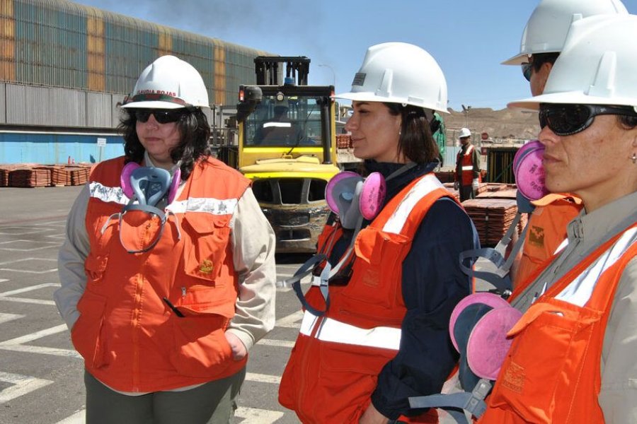 mendoza es sede de un encuentro federal de mujeres y minería