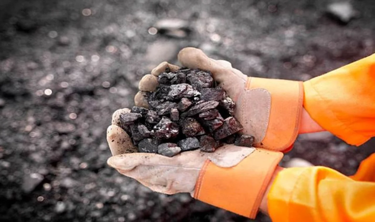 histórico argentina vuelve a exportar un producto que todos evitan, pero muchos países necesitan