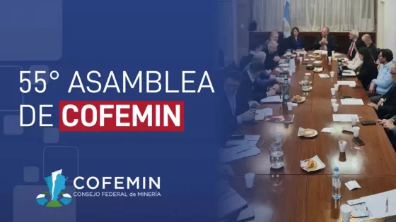 el cofemin presidido por salta llevó la voz federal de la minería al senado de la nación