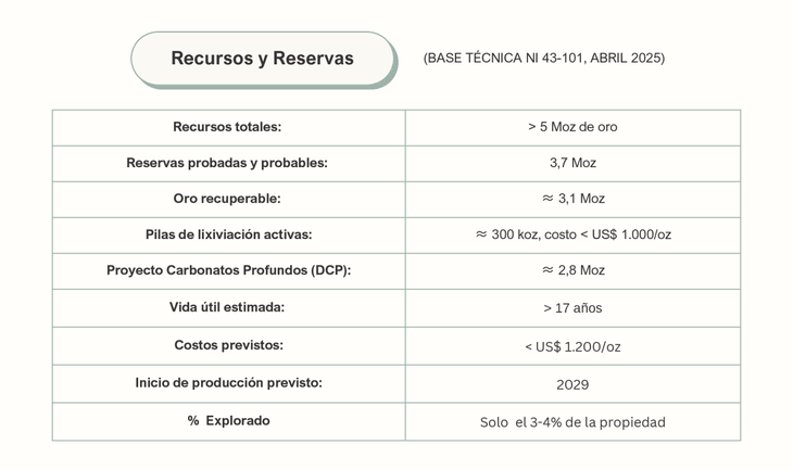 mina gualcamayo grafico datos pwc