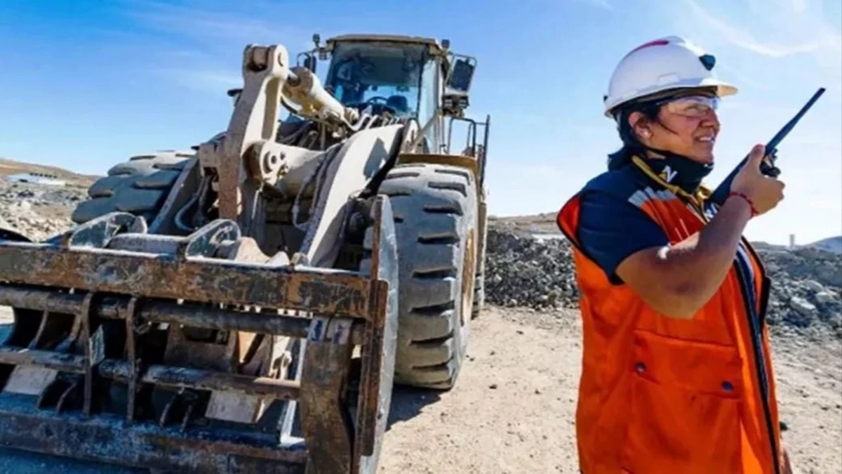 el boom pisa fuerte en internet en las redes sanjuaninas, crecieron las ofertas laborales vinculadas a la minería